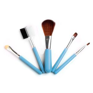 Set de 5 brochas brush para maquillaje profesional